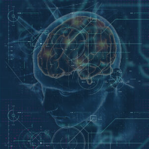 brain emdr map